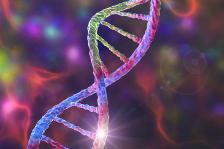 Double helix