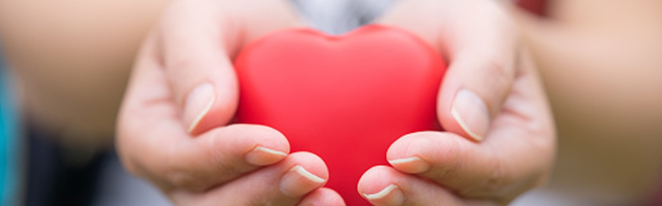give-top-banner-2560x800.jpg