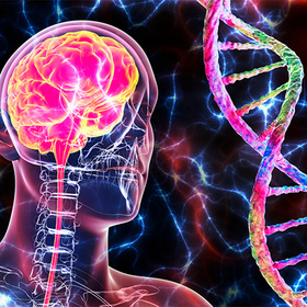 Grant worth up to $5 million aids research for cerebellar disorders