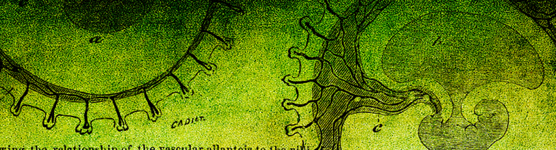 3105-reproductive_endocrinology_infertility-lg.jpg