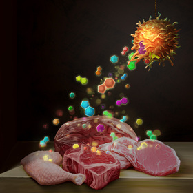 Children’s Research Institute at UT Southwestern discovers tumor growth fueled by nucleotide salvage