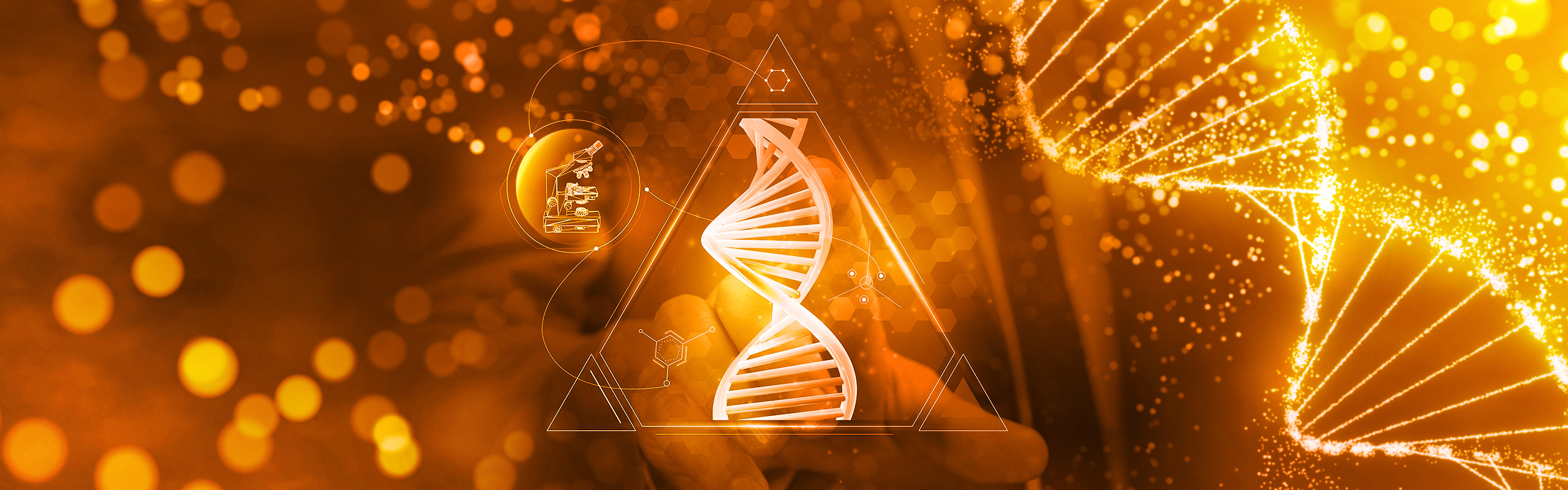 bioinformatics-2560x800.jpg