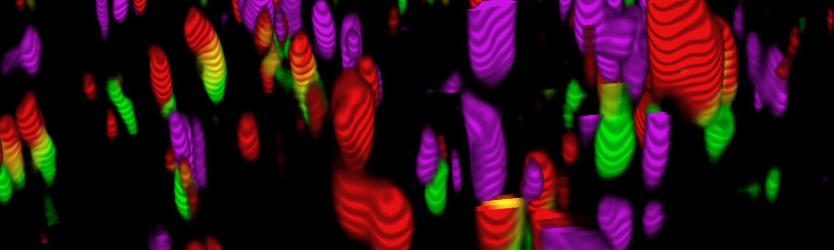 Cancer Biology