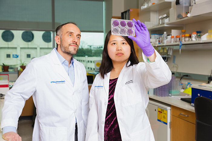 In the Schoggins Lab, Associate Professor of Microbiology Dr. John Schoggins and postdoctoral researcher Dr. Katrina Mar study the LY6E protein that can inhibit several coronaviruses. Two people in lab coats working