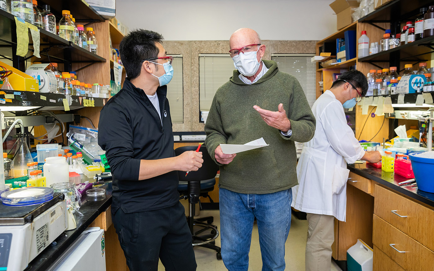 Dr. Steven McKnight talks with a member of his lab team, Dr. Masato Kato, Professor of Biochemistry, while Dr. Xiaoming Zhou, a postdoctoral fellow, works in the background. Three men in lab wearing masks