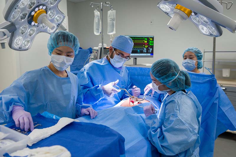 In 2018, trainees worked together in a Simulation Center operation room. Four people in surgical PPE performing surgery on dummy