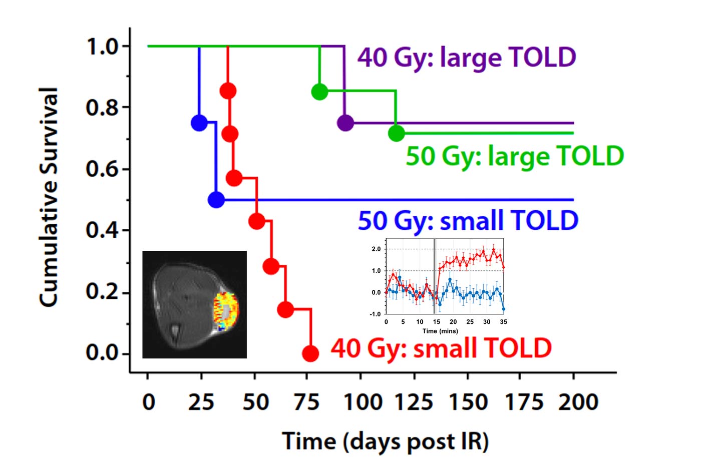 Tumors exhibiting a small TOLD response showed poor tumor control following a single dose of 40 Gy irradiation (red). Applying a higher dose (50 Gy) to tumors, small TOLD response improved tumor control in half the tumors (blue). Well oxygenated tumors, characterized by a large TOLD response, showed good control at 40 Gy (purple) and additional dose provided no benefit (green). Graphic wiith red and green lines