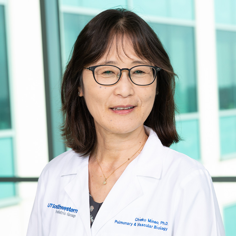 Chieko Mineo, Ph.D.