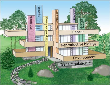 Illustration of a building with pillars and floors named gene regulation, development, reproductive biology, cancer, chromatin biology, genomics, structural biology, computational biology, signaling, and RNA biology. Illustration of a building with pillars and floors named gene regulation, development, reproductive biology, cancer, chromatin biology, genomics, structural biology, computational biology, signaling, and RNA biology.