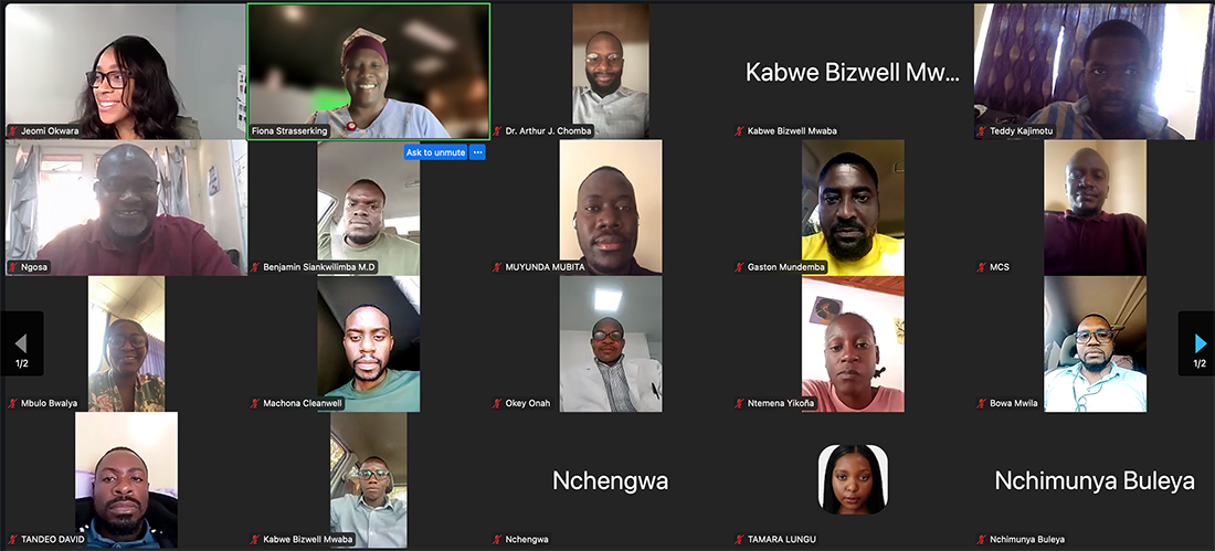 screenshot of  virtual lecture participants