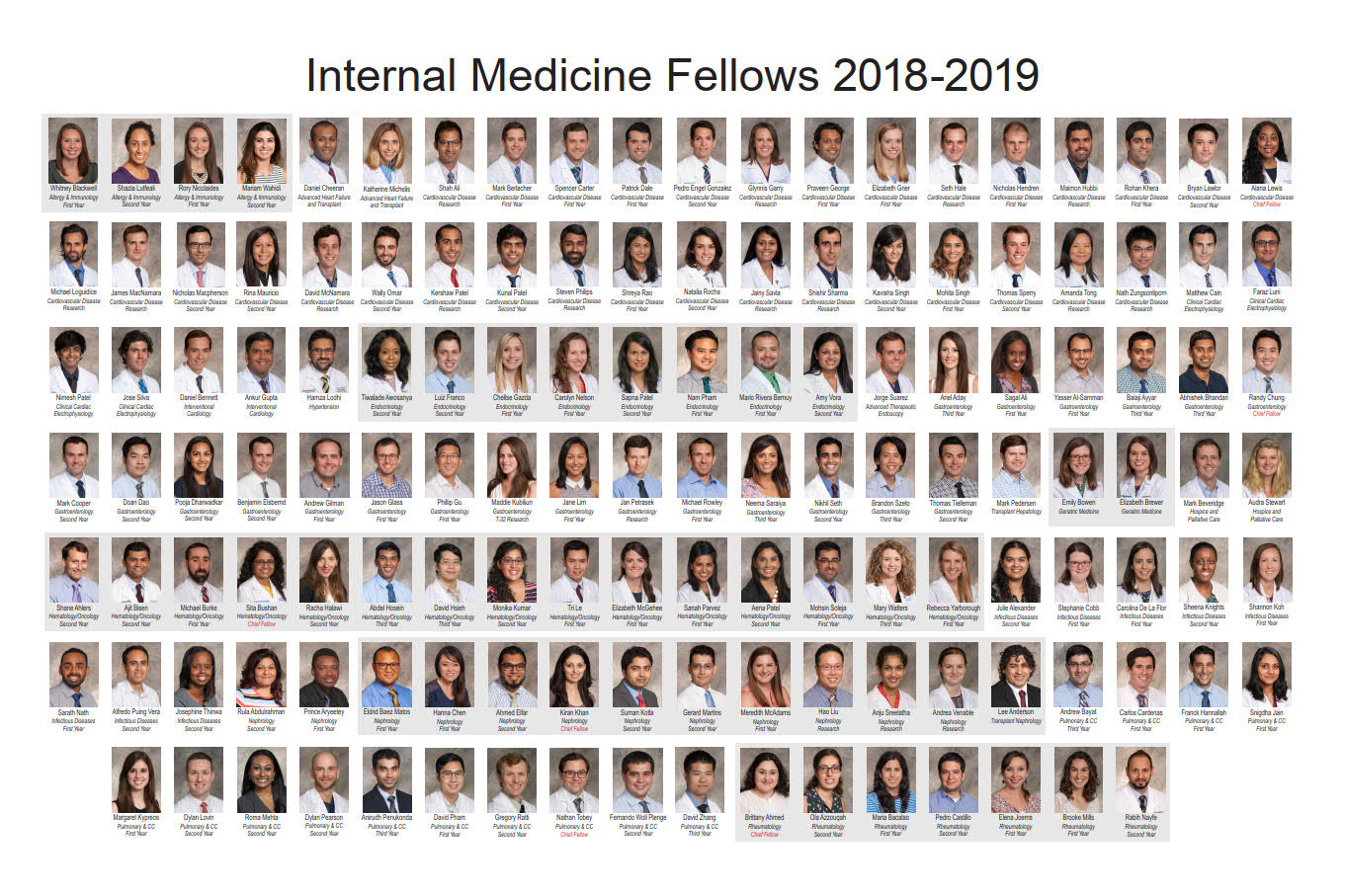 Composite of 2018-2019 Fellows, Opens to enlarged image