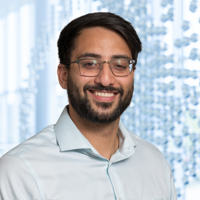 Dr. Syed Rizvi