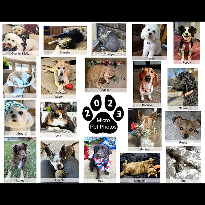 Collage of microbiology pet photos