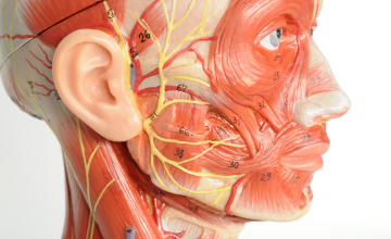 facial pain clinic