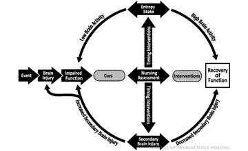 neuromonitoring