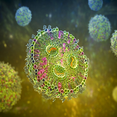 Computer illustration of a lipid nanoparticle mRNA vaccine