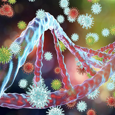Interaction between viruses and host-cell DNA