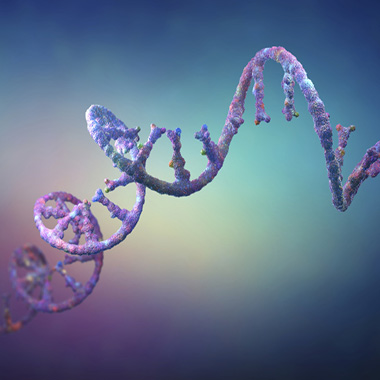 Illustration of RNA strand