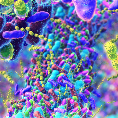 germs in the human intestines