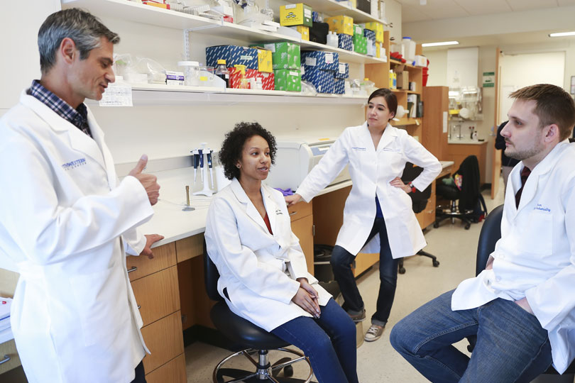 Researchers collaborate in the lab. Four researchers collaborate in the lab