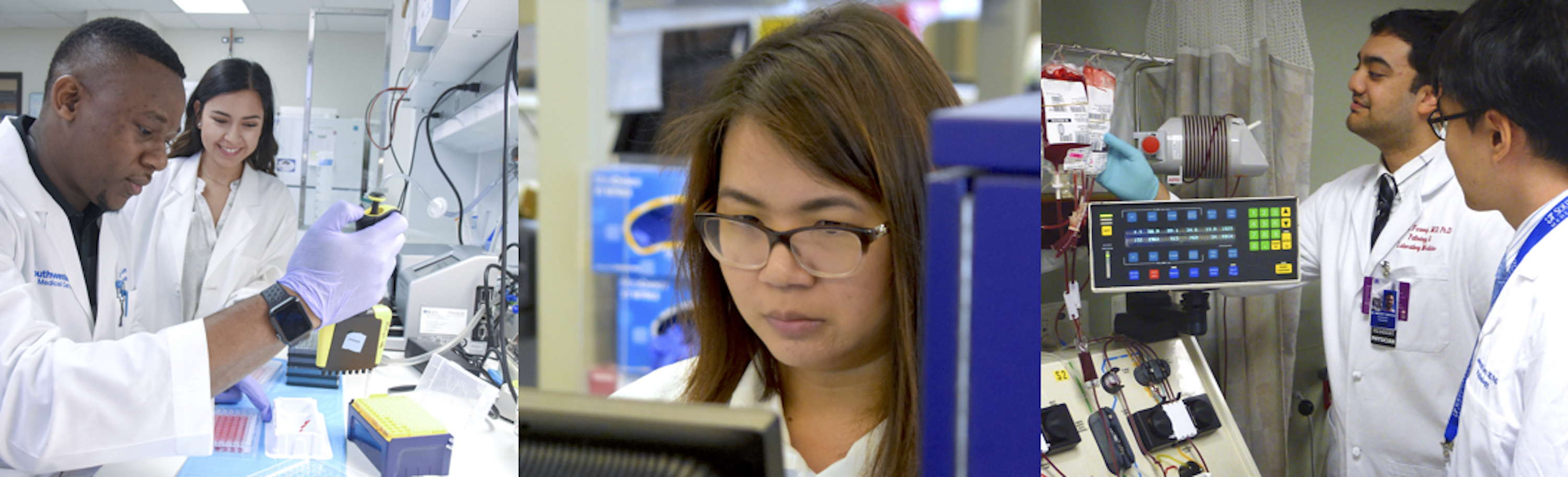 Pathology Careers Pathology Careers