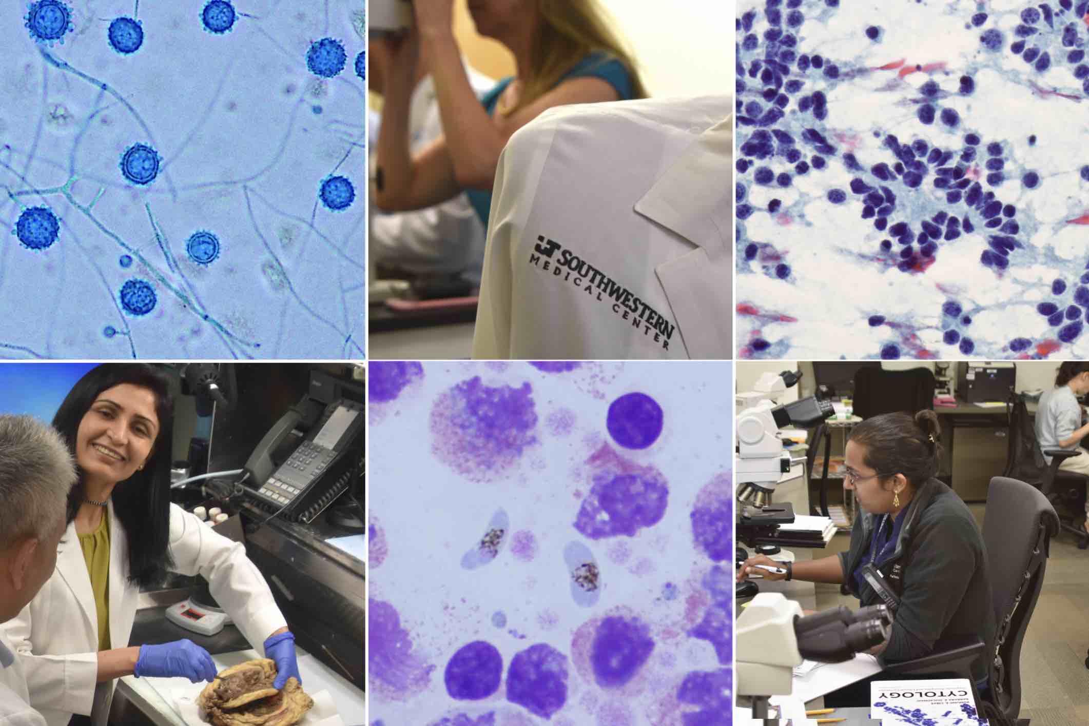 Collage of photos from UTSW fellowships