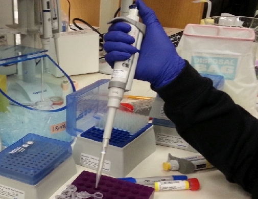 UTSW Research