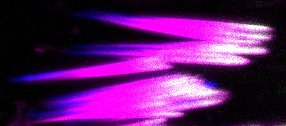 Stained actin cones, which appear as four roughly triangular shaped, stained in fuchsia with white highlights on the wider ends to the right.