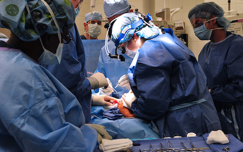 The Pediatric Surgery Fellowship Program offers a wide range of educational experiences. The Pediatric Surgery Fellowship Program offers a wide range of educational experiences.