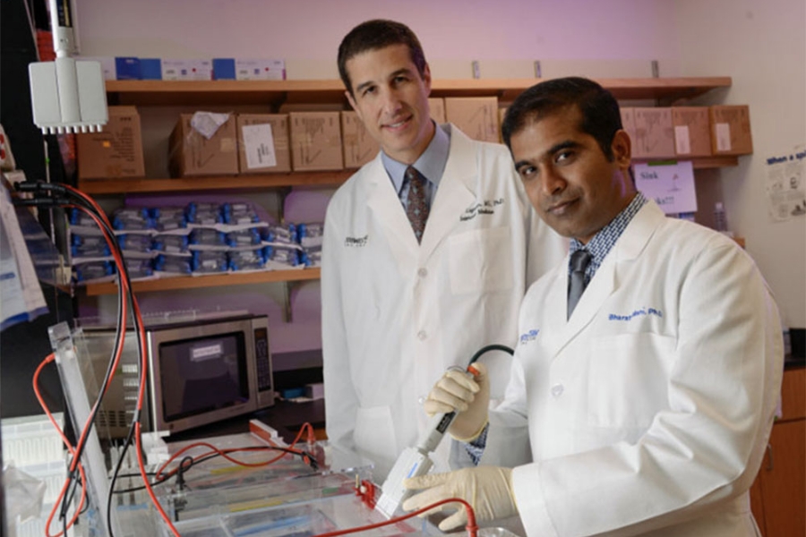 medical researchers look over findings in the Zigman lab