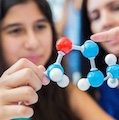 Women in Science and Medicine Advisory Committee