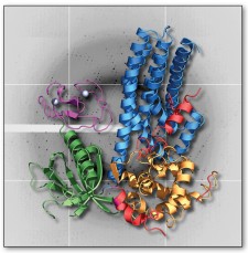Structural Biology Laboratory