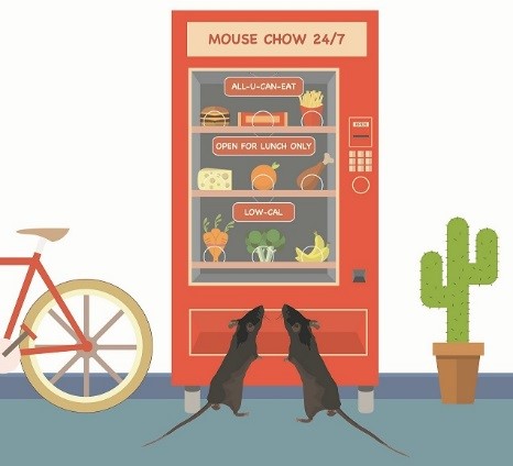Cartoon of two mice looking at a food vending machine Cartoon of two mice looking at a food vending machine