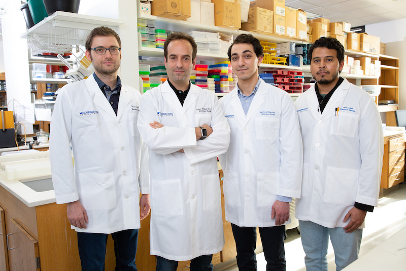 From left: The research team includes Dr. Florian Kopp, Dr. Joshua Mendell, graduate student Mahmoud Elguindy, and research technician Frank Gillett. Dr. Florian Kopp, Dr. Joshua Mendell, graduate student Mahmoud Elguindy, and research technician Frank Gillett
