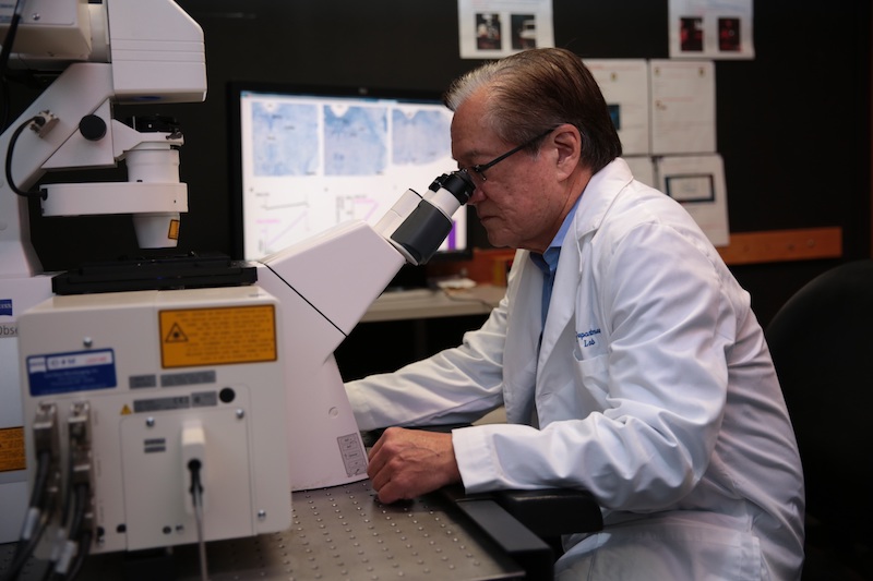 Dr. Joseph S. Takahashi, Chairman of Neuroscience with UT Southwestern’s Peter O’Donnell Jr. Brain Institute. Dr. Joseph S. Takahashi, Chairman of Neuroscience with UT Southwestern’s Peter O’Donnell Jr. Brain Institute.