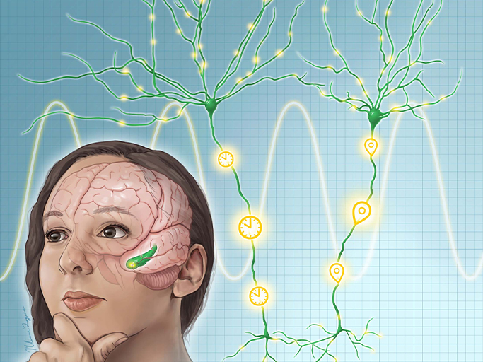 A woman with brain waves called “theta rhythms”