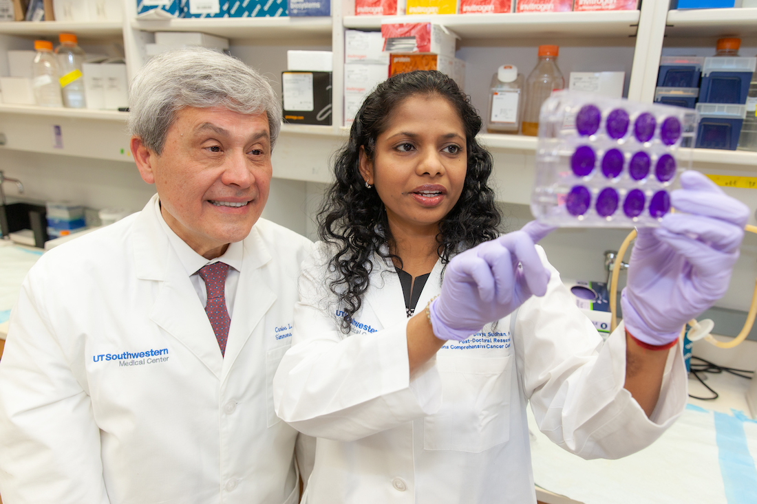 Lab image of Carlos L. Arteaga, M.D., Director of the Simmons Cancer Center and a female medical professional Lab image of Carlos L. Arteaga, M.D., Director of the Simmons Cancer Center and a female medical professional