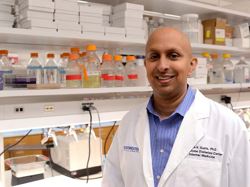 Rana Gupta, Ph.D.