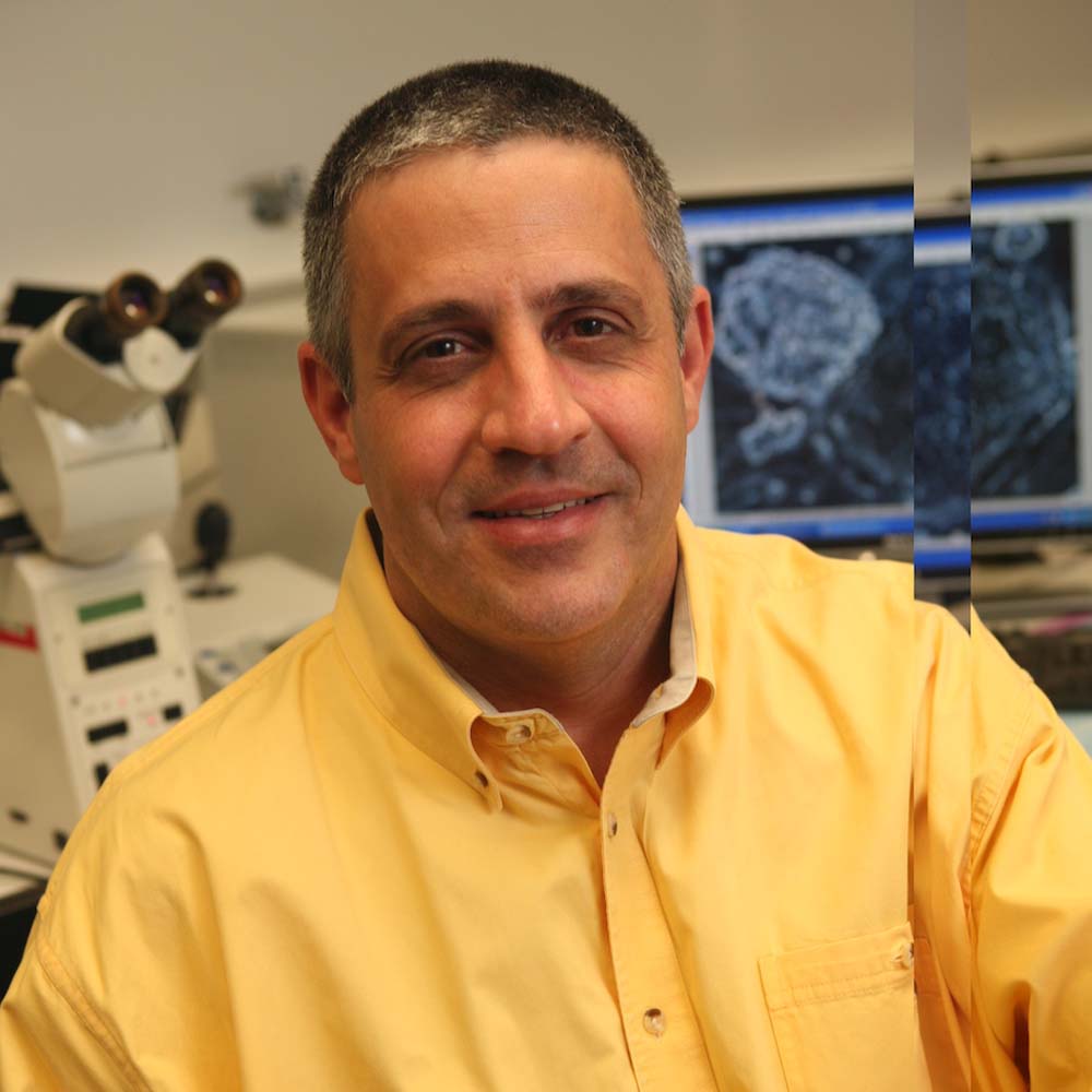 Photo of Kent Hamra, Ph.D.