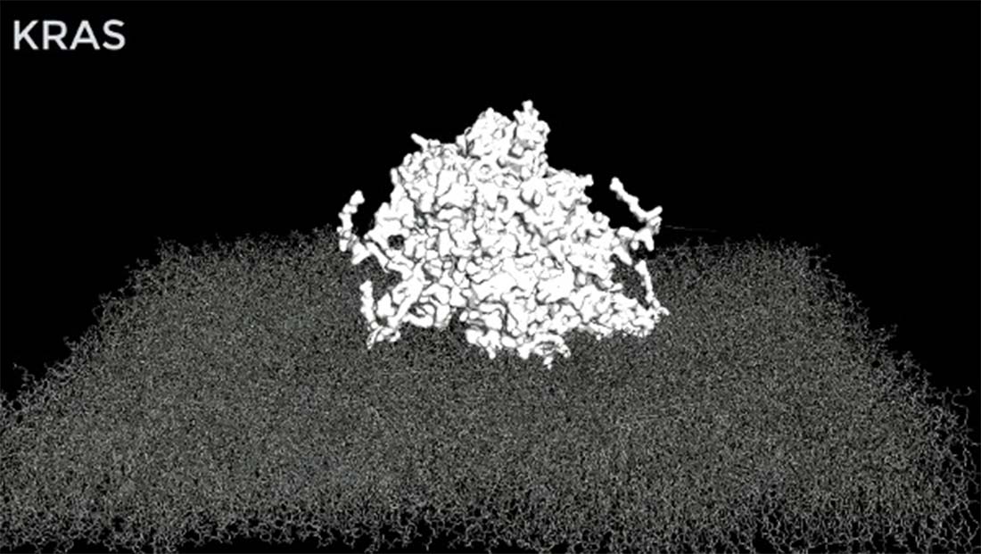 Photo of UTSW findings advance RAS inhibitors for use in fighting more cancers
