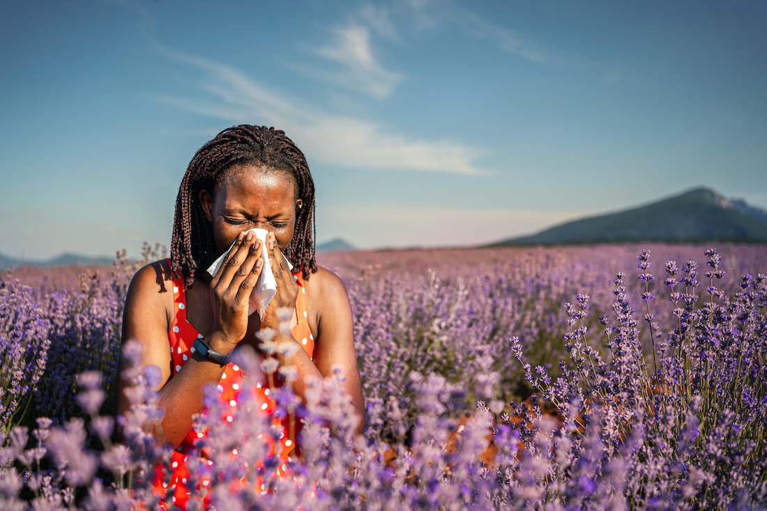 One common condition that afflicts many people is allergic rhinitis, in which environmental allergies cause nasal inflammation. UT Southwestern's Ashley Agan, M.D., recommends daily saline nasal rinses for swelling related to allergies. (Photo credit: Getty Images)