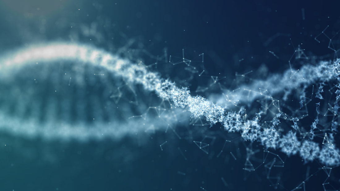 DNA structure