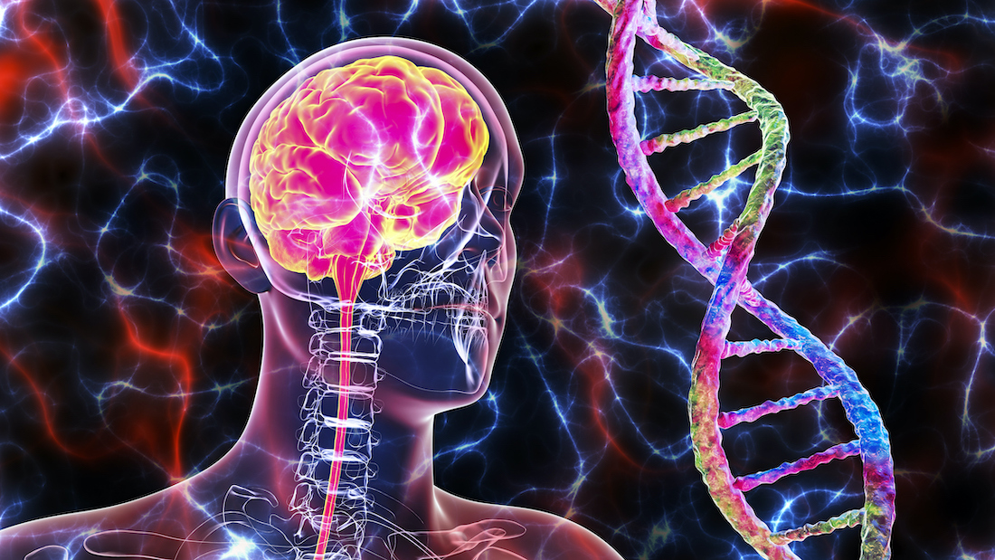 Genetic brain disorders, conceptual illustration