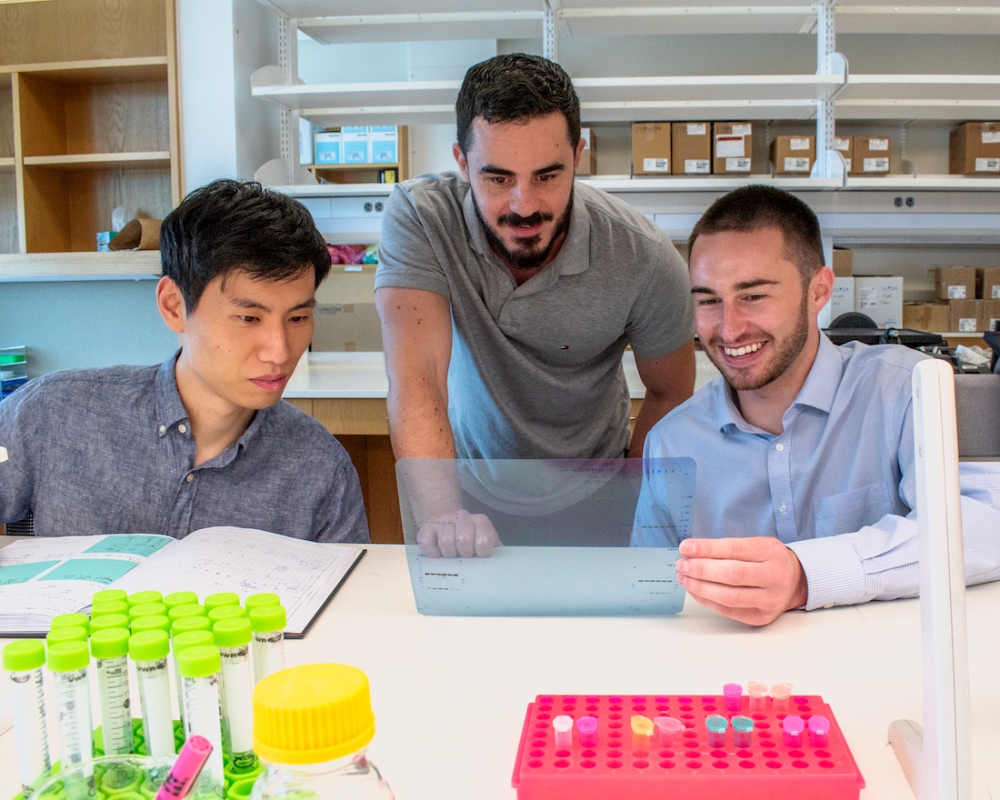 Researchers group