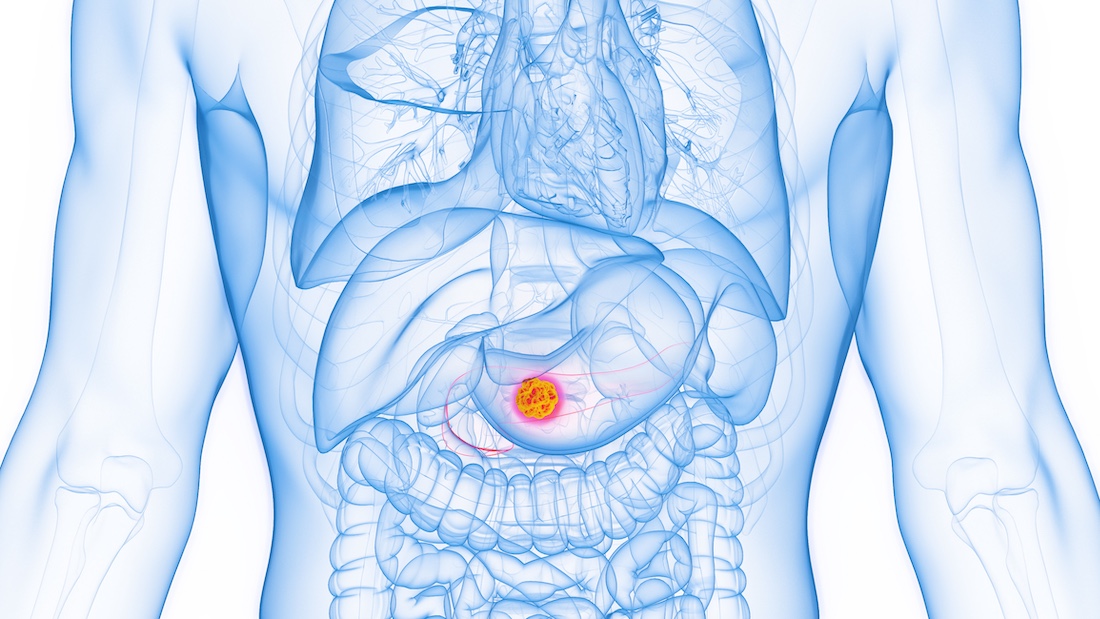 healthy and functional fat tissue exposed