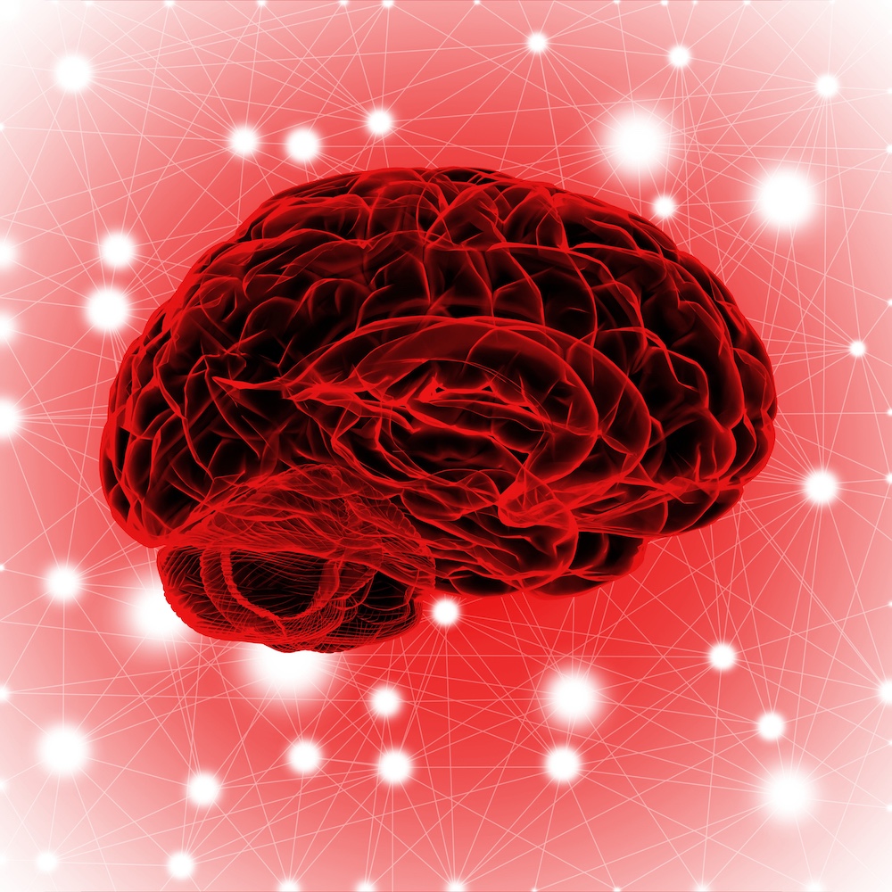 Red brain