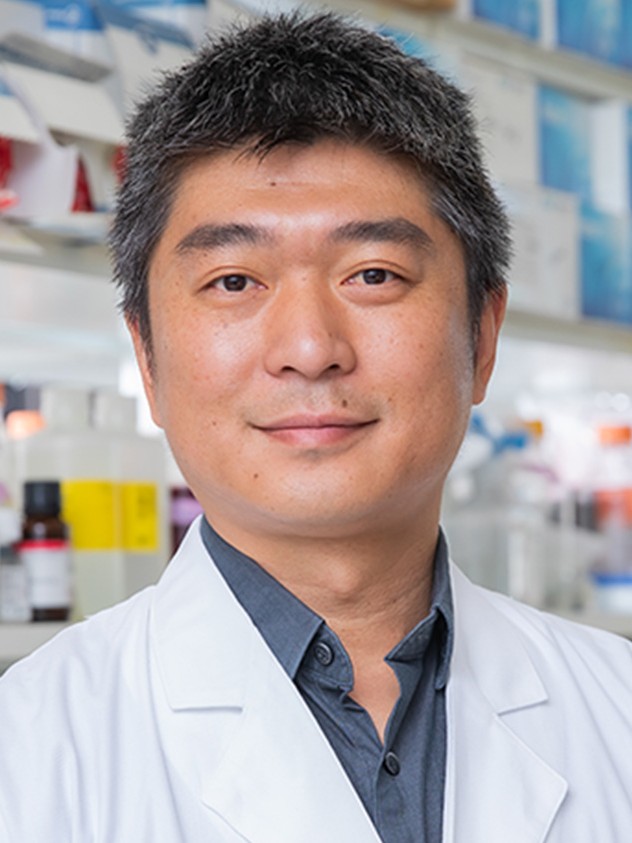 Jun Wu, Ph.D.
