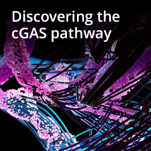Discovering the cGas Pathway