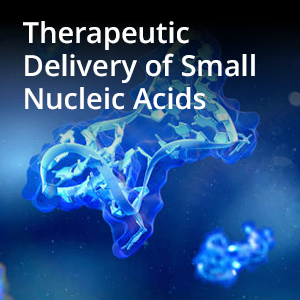 Therapeutic Delivery of Small Nucleic Acids