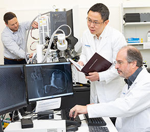 Medical professionals on the computer